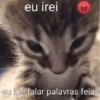eu irei eu irei falar palavras feias