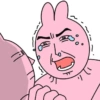 Pink korea rabbit  19