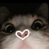 MASCOTA PT. 1 18