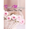 Good morning 16