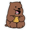 Bear bears 4 8