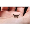 Ola mi vida 10