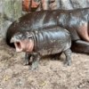 Animales locos 20