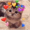 Cute baby cat🥺 11