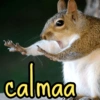 calmaa