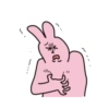Pink korea rabbit  8
