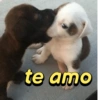 te amo