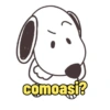 comoaşi?