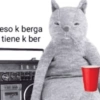 Gatosss 8