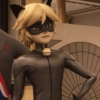 Cat noir 11