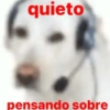 quieto pensando sobre