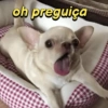 oh preguiça