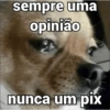 sempre uma opinião nunca um pix