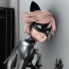 Cat noir 13