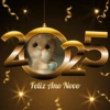 Fofos feliz ano novo 2025 13