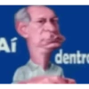 Gatinhos 25