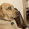 WALTER