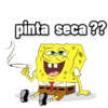 Homero 26