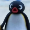 Memes do pingu 🐧🐧🐧 15