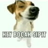 Meme tahun baru imlek 5