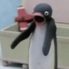 Memes do pingu 🐧🐧🐧 10