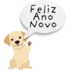🍾 2025 | Feliz Ano Novo 25