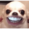 Memes random 3 6
