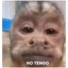 NO TENGO