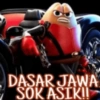 Indos 22