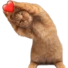 MASCOTA PT. 1 14