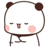 Mochi pande 21