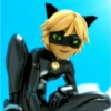 Cat noir 27