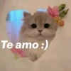 Te amo :)