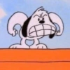 Snoopy mood variadito ✨ 26