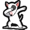 Dog salute 17