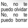 No, no no te puedo olvidar No, no no te puedo borrar