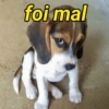 foi mal