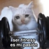 Gym 💪🏋️‍♀️ 15