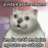 ANO NOVO MEMES VELHOS🎆🎇 6