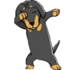 Dog salute 14