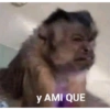 Y AMI QUE