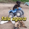 fala agora