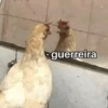 Vale a pena baixar esse 🪶🐓 8