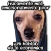 Fisicamente mal. emocionalmente peor y ni hablar de lo económico