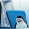 Pinguim  21