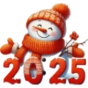 25