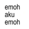 Meme anomali 4 11