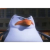 Pinguim  17