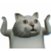 Meme kucing / cat 5