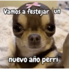 Año Nuevo meme random🎉✨️ 5